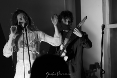 Guinevere in concerto a La Redazione